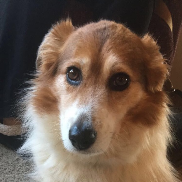 Meet your Posher, Isabelle - Picture 1 of 1